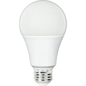 Bulb