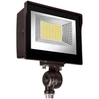 Flood Light